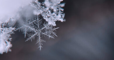 close up of snowflake