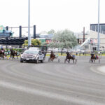 Horse Racing in the Heart of Cottage Country